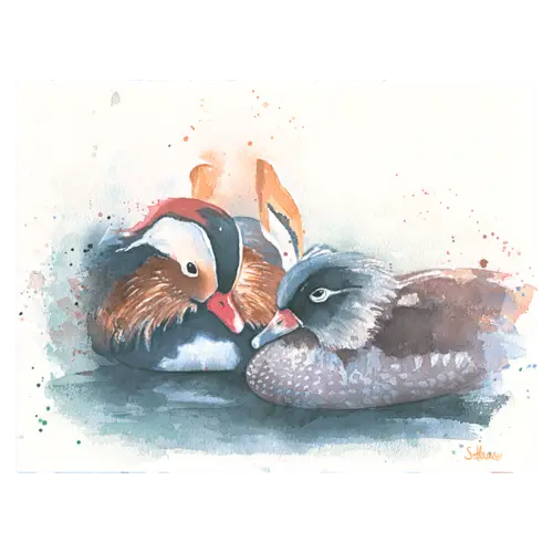 Endless Love
